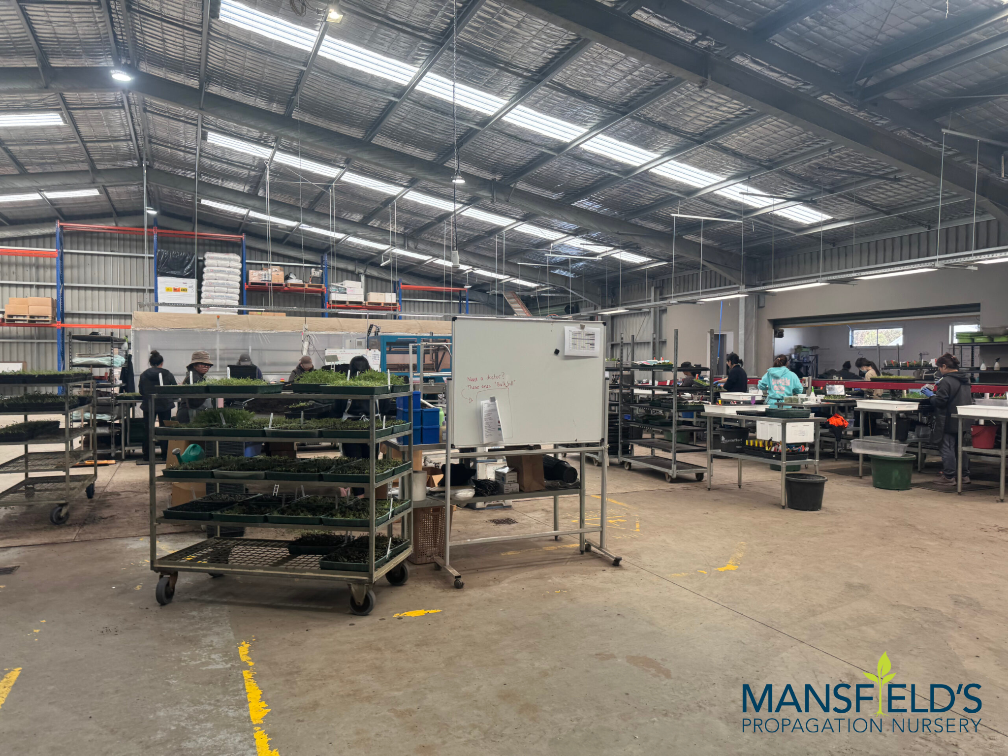 Mansfield's  Nursery migrated their Access database and supporting Excel spreadsheets into a purpose-built web application 